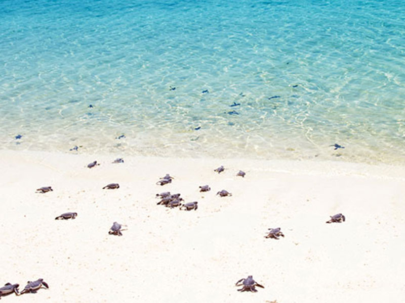 About Bonaire