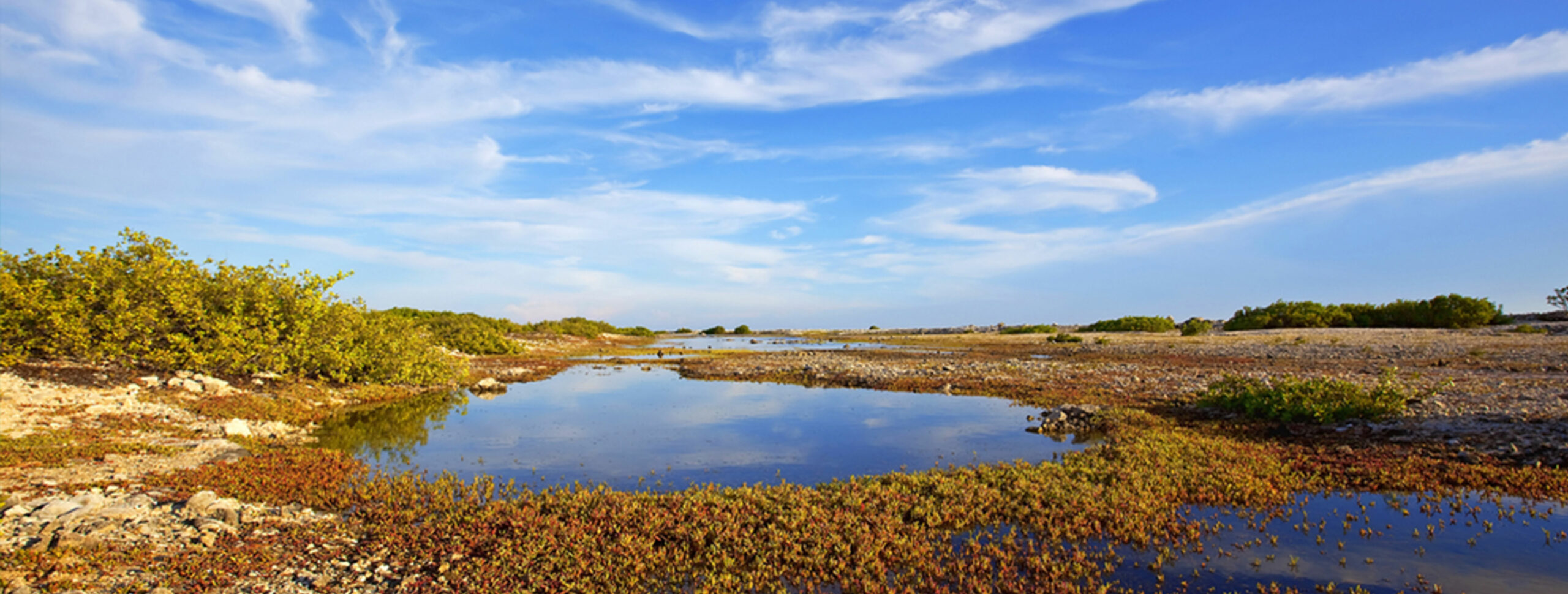 About Bonaire